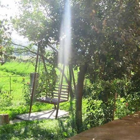 Lary Hostel Suceava Bagian luar foto