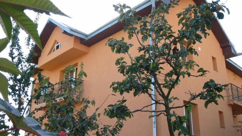 Lary Hostel Suceava Bagian luar foto