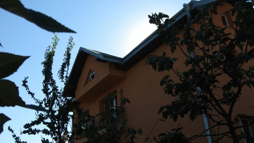 Lary Hostel Suceava Bagian luar foto