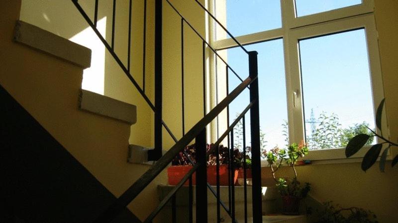 Lary Hostel Suceava Bagian luar foto