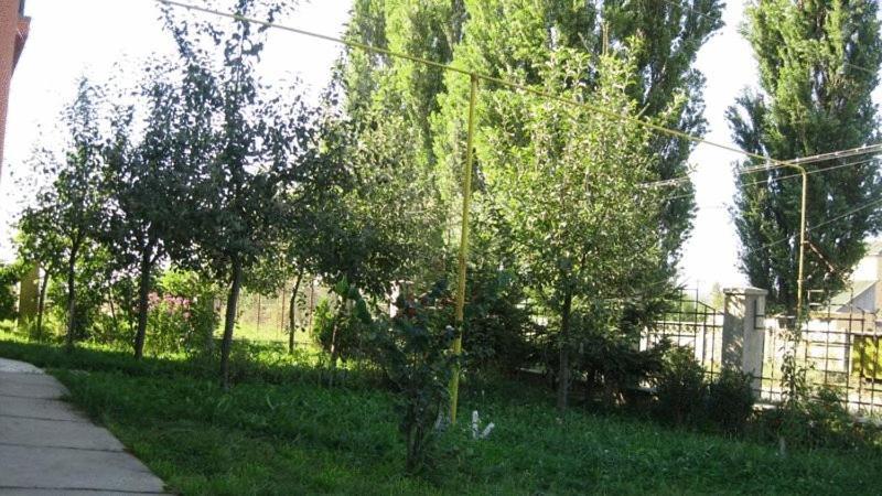 Lary Hostel Suceava Bagian luar foto