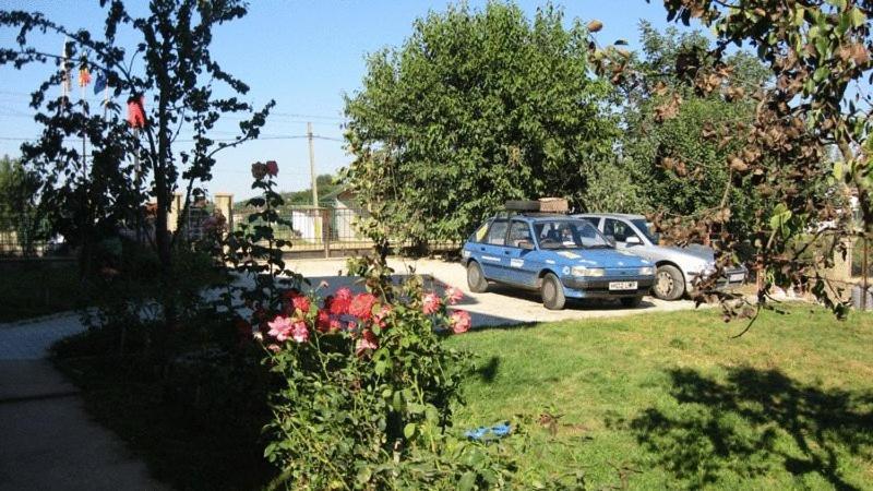 Lary Hostel Suceava Bagian luar foto