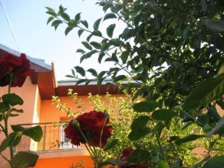 Lary Hostel Suceava Bagian luar foto