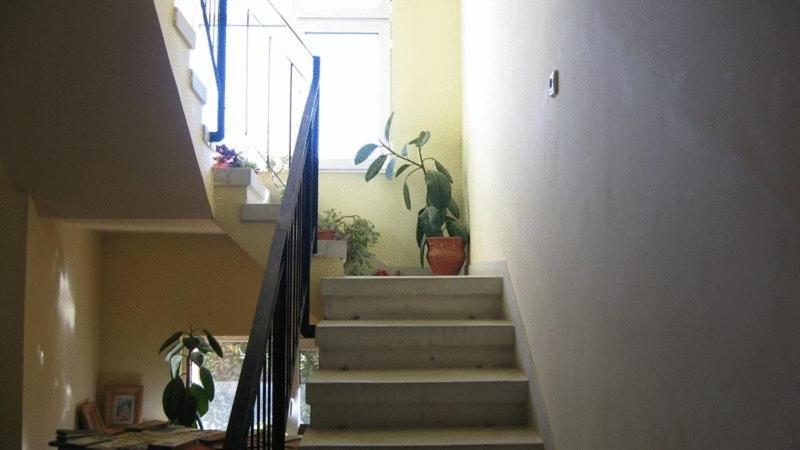 Lary Hostel Suceava Bagian luar foto