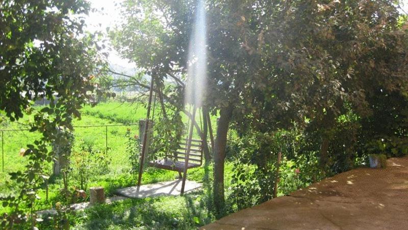 Lary Hostel Suceava Bagian luar foto