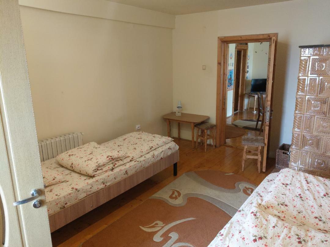Lary Hostel Suceava Bagian luar foto