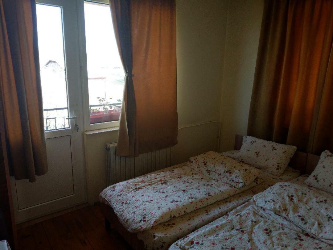 Lary Hostel Suceava Bagian luar foto
