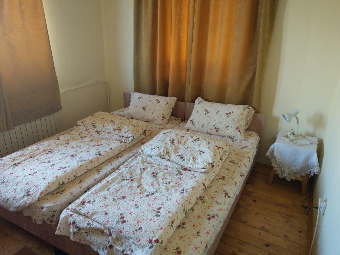 Lary Hostel Suceava Bagian luar foto