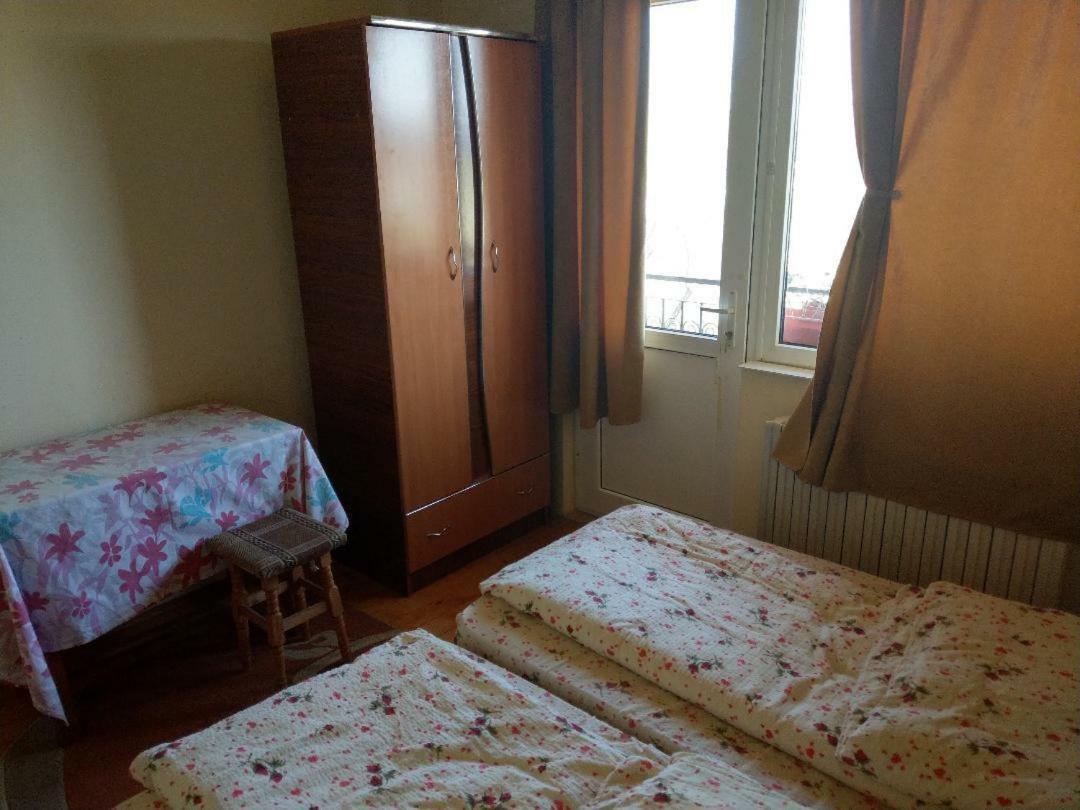 Lary Hostel Suceava Bagian luar foto