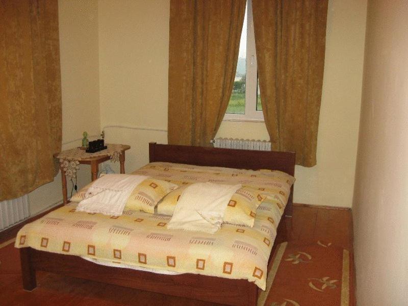 Lary Hostel Suceava Bagian luar foto